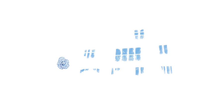MAIN LOGO - DR - BLANC 2